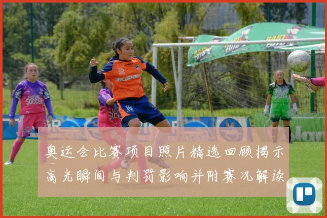 奥运会比赛项目照片精选回顾揭示高光瞬间与判罚影响并附赛况解读