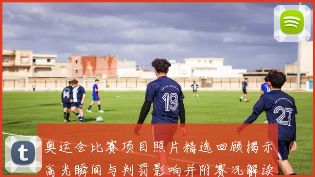 奥运会比赛项目照片精选回顾揭示高光瞬间与判罚影响并附赛况解读